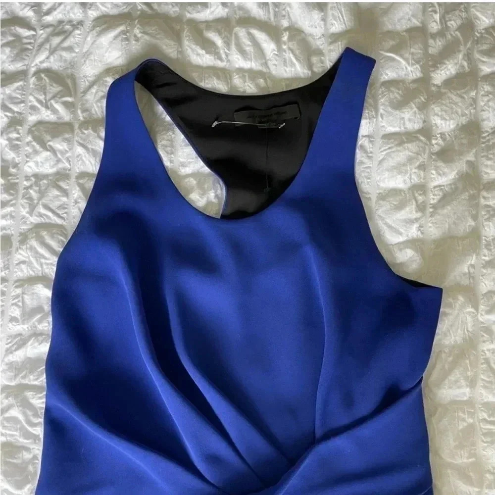 Alexander Wang Cabolt Blue Color Block Mini Dress - image 3